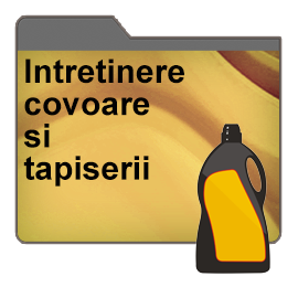 Intretinerea covoarelor si tapiteriilor